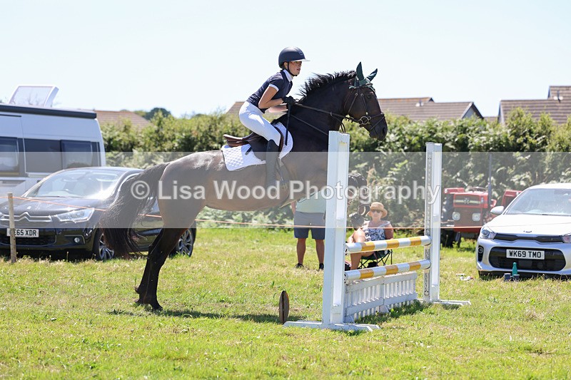 3E7A5505 - Class 9: Senior British Novice/90cm open