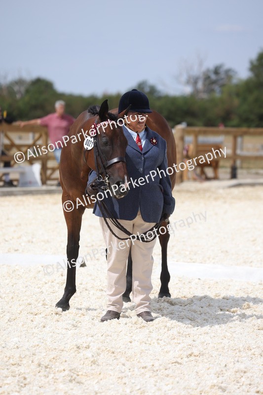20260802-1511 - Class 16 - Best Horse or Pony