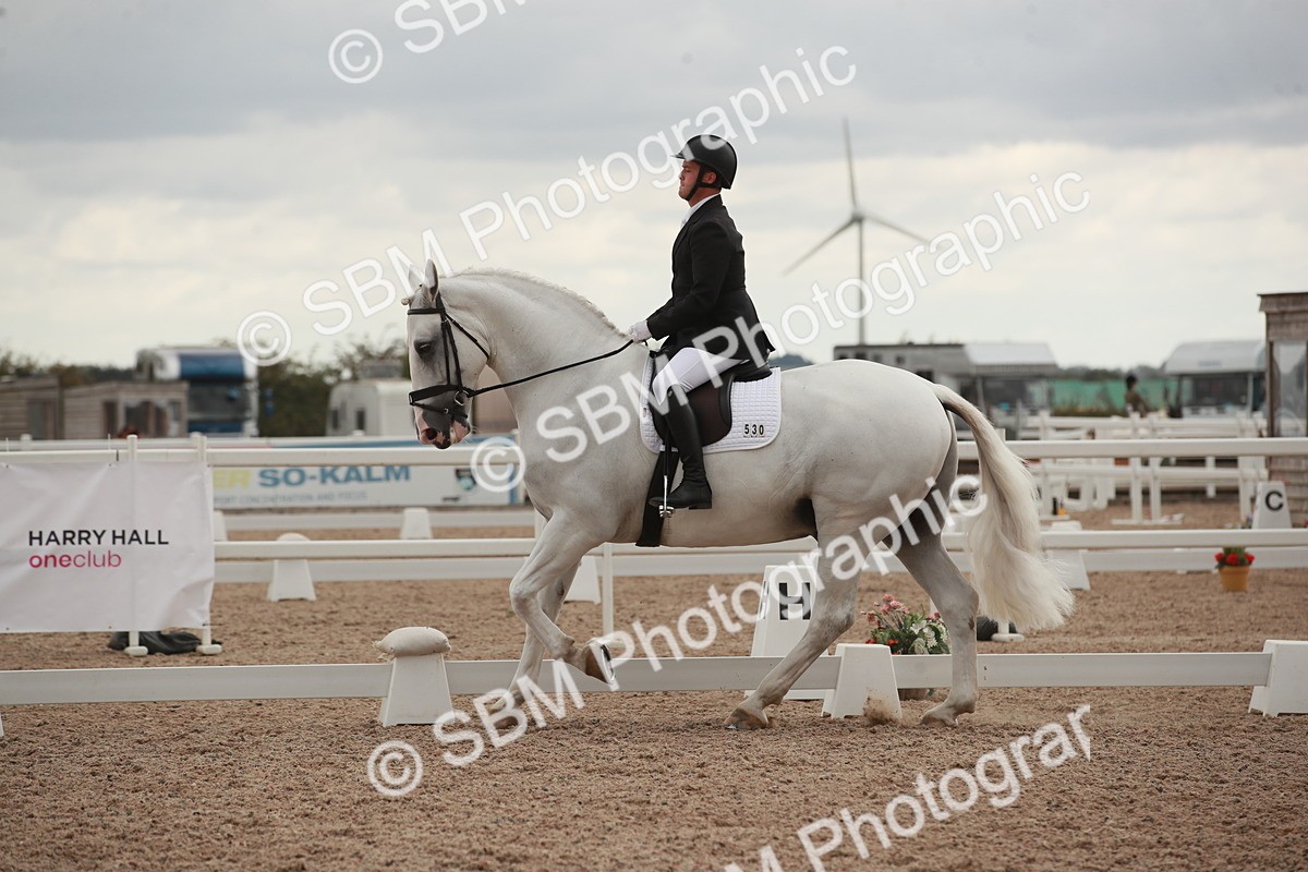 SBM_06171 - Class 33 - Elementary 1