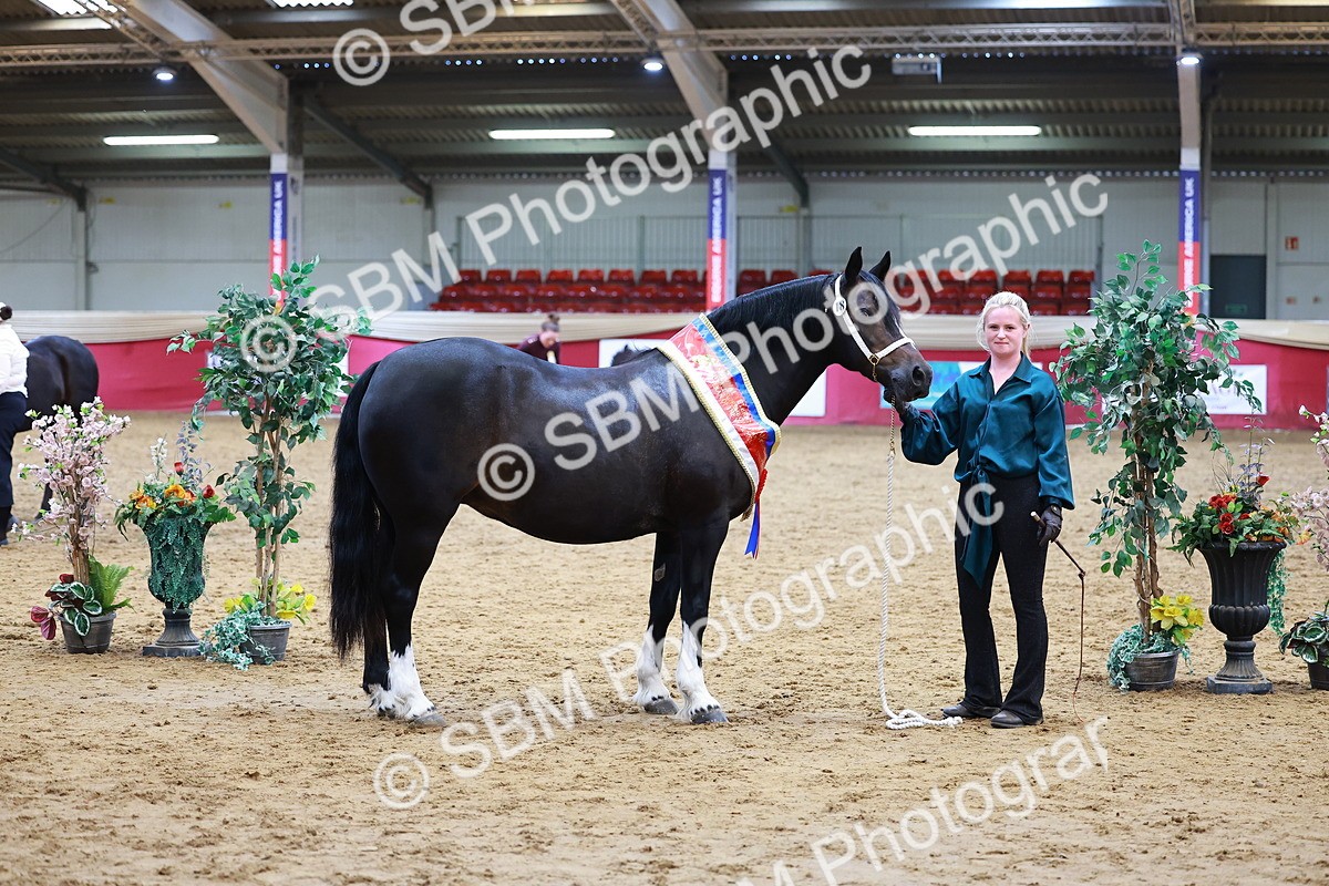 SBM_20920 - Grand Sup Finals - IH & Ridden Champs