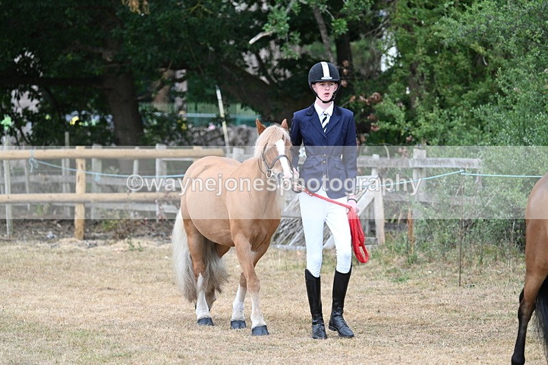 WJ7_9449 - Class 5 Most Handsome Gelding (up to 14.2hh)