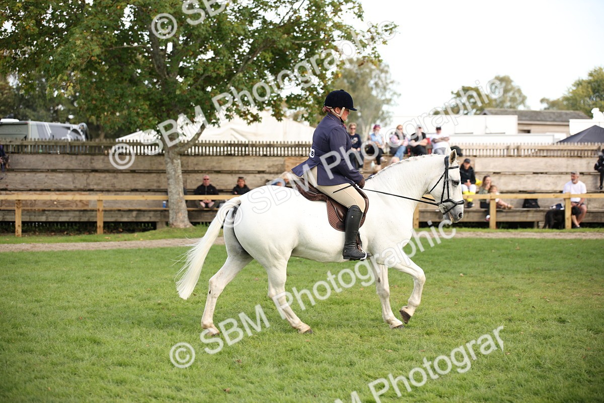 SBM_50209 - S26 - Young Veteran - Ridden