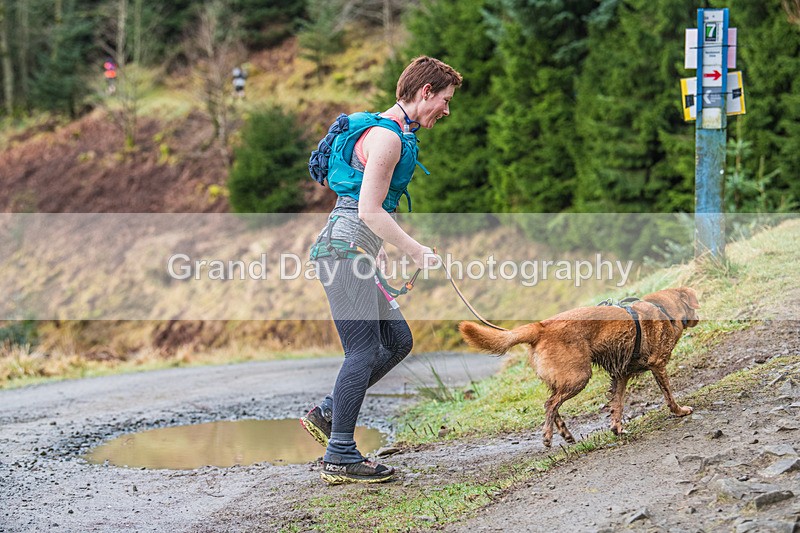 Glentress-328 - High Terrain Events Glentress Marathon 21 & 10K Trail Races Sunday 18th February 2024