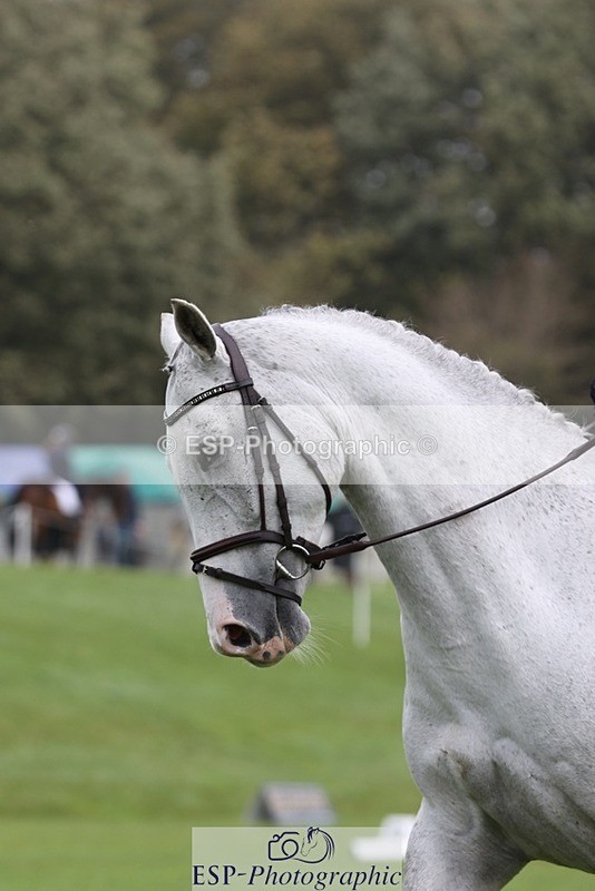 231019-122848-03652 - 631-BRIGHT.RINCO-Maisie.Morgan-DR