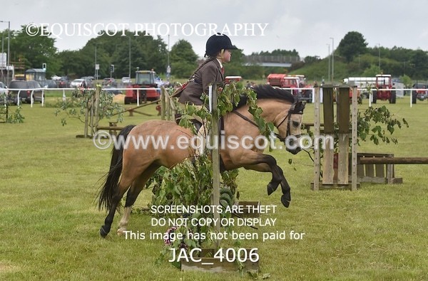 JAC_4006 - 40CM WORKING HUNTER