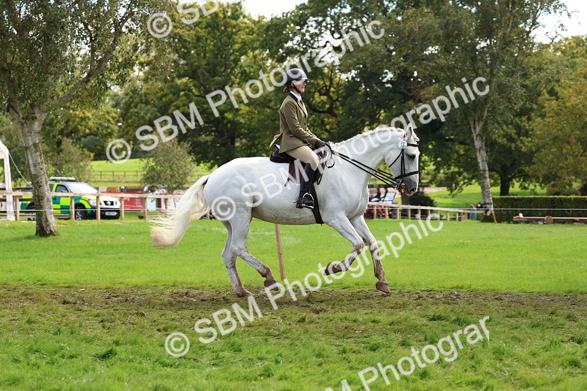 SBM_45235 - S27 - Young Veteran Ridden