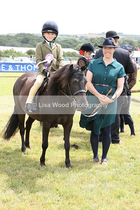 JPP_1996 - Class 18: Tiny Tots Working Hunter Pony