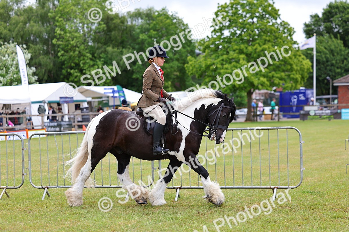 SBM_02601 - Class 9-11 Side Saddle including LIHS Rising Star Ladies Show Horse