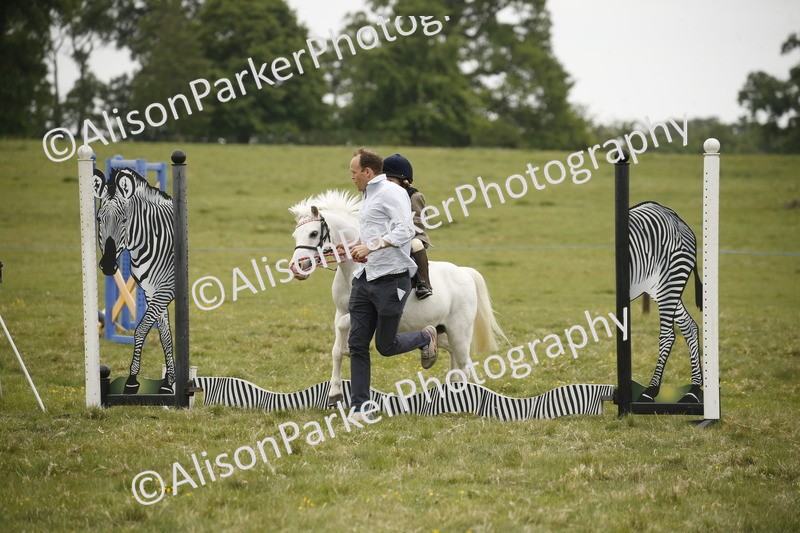 20250517-0174 - Class 1 - 30cm On Lead Rein