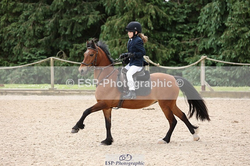 240616-104410-03146 - 60cm