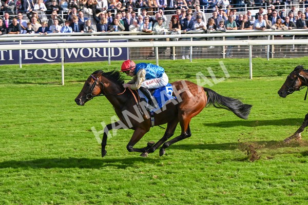 111025-Race 1-Division-8249 - Race 1 Coral Rockingham Stakes at York