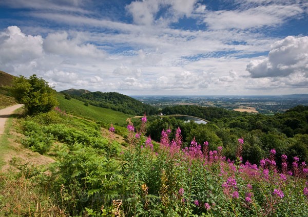 Summer Days - The Malvern Hills