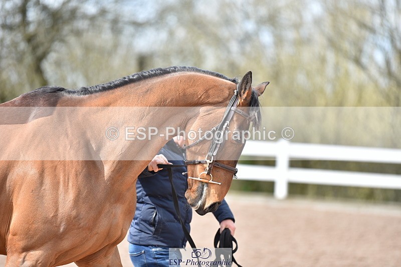 240417A-155544-01030 - 3pm to 4pm