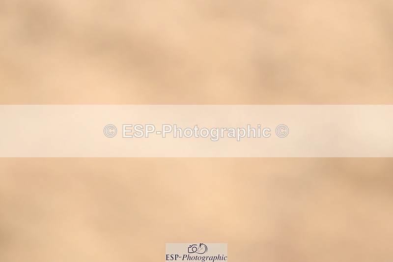 250621-100205-07116 - Cls 23 - Prelim 5 9.40 to End