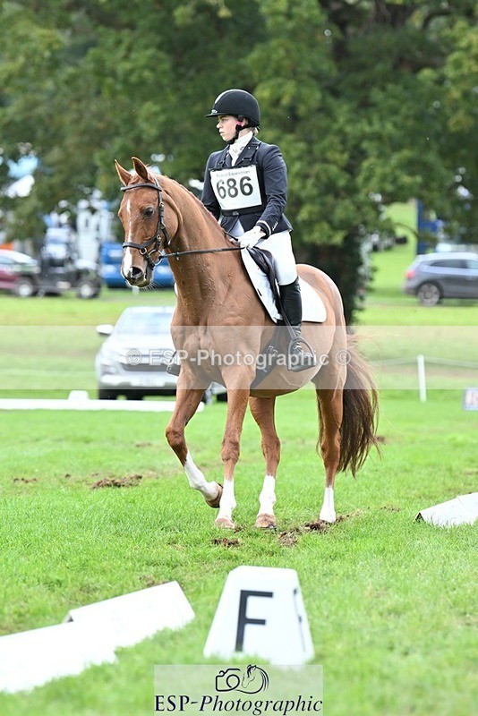 231020-153055-11506 - 686-MOORLAND.MAGIC-Charlotte.Chard-DR