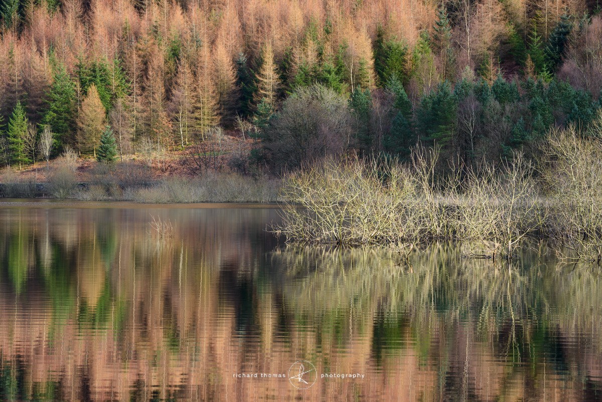 Thirlmere Lake District national park