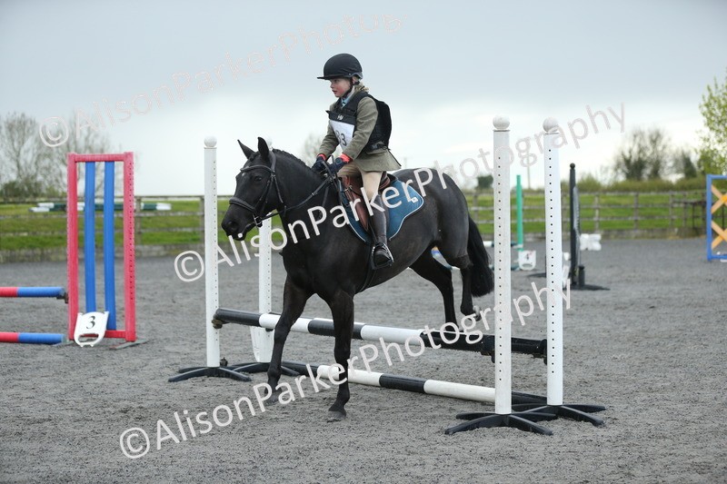 20260412-1899 - Show Jumping