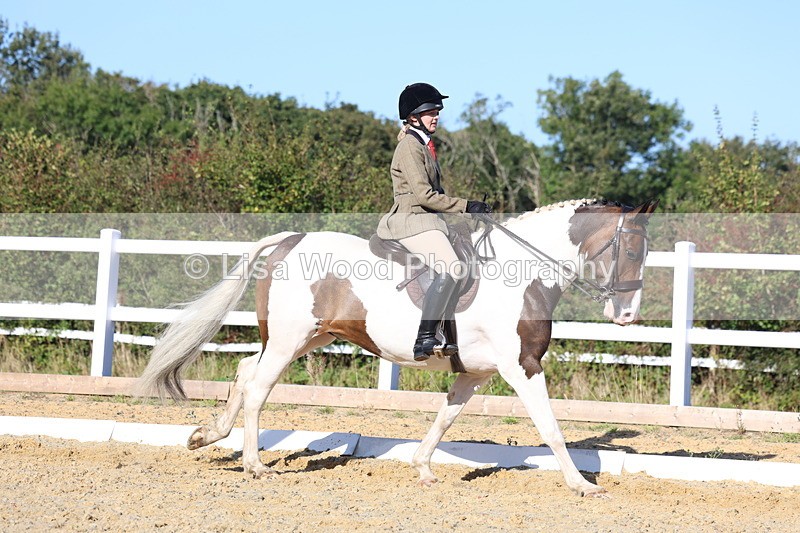 3E7A5298 - Class 8: Small Ridden Hunter