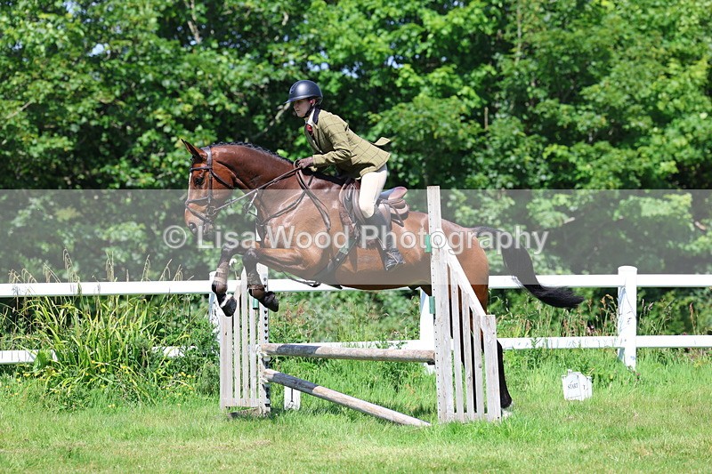 3E7A7079 - Class 30: Novice Working Hunter