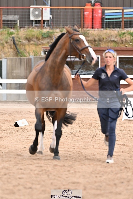 250716-151948-01873 - Trot Up 2.30 to 3.30