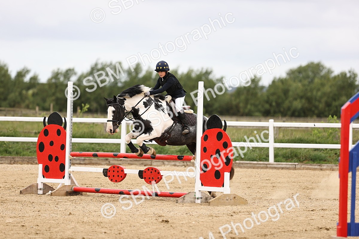 SBM_006851 - Class 1 - 70cm showjumping