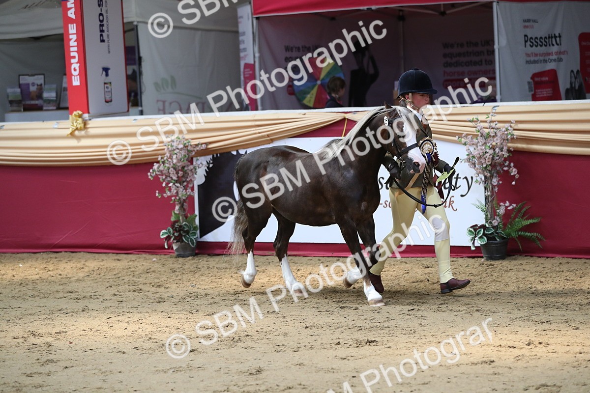 SBM_04494