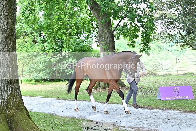 250521A-151222-00336 - B-318-Alexander.Bragg-SHANNONDALE.CONNOR