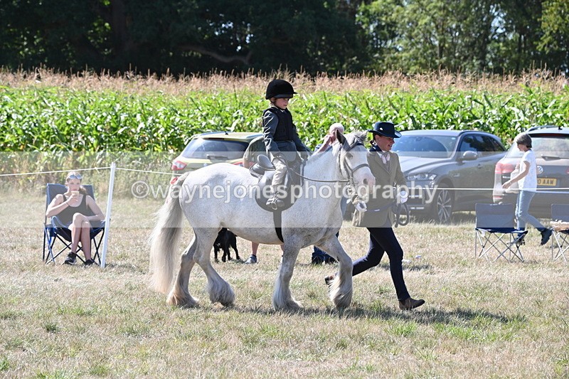 WJ6_7919 - Class 36 Lead Rein