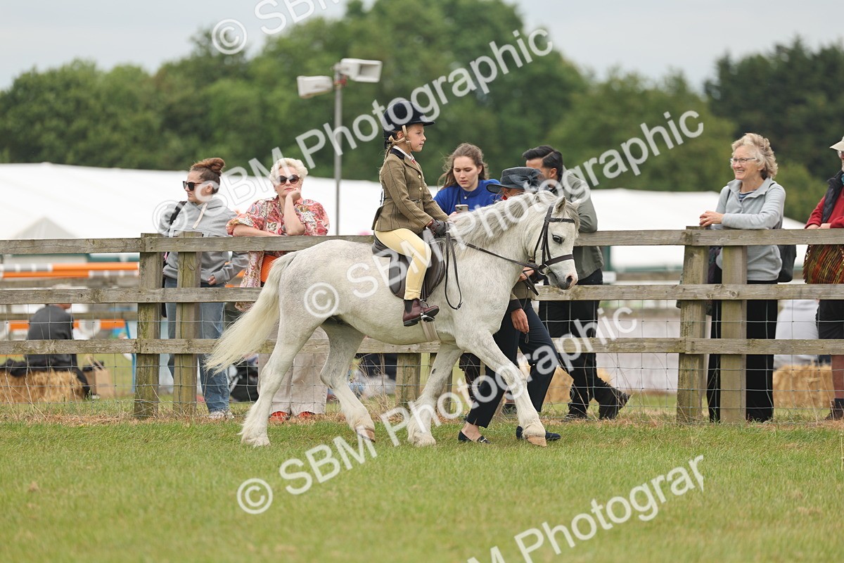SBM_06733 - Class 74-75 - M&M Lead Rein and First Ridden Pony