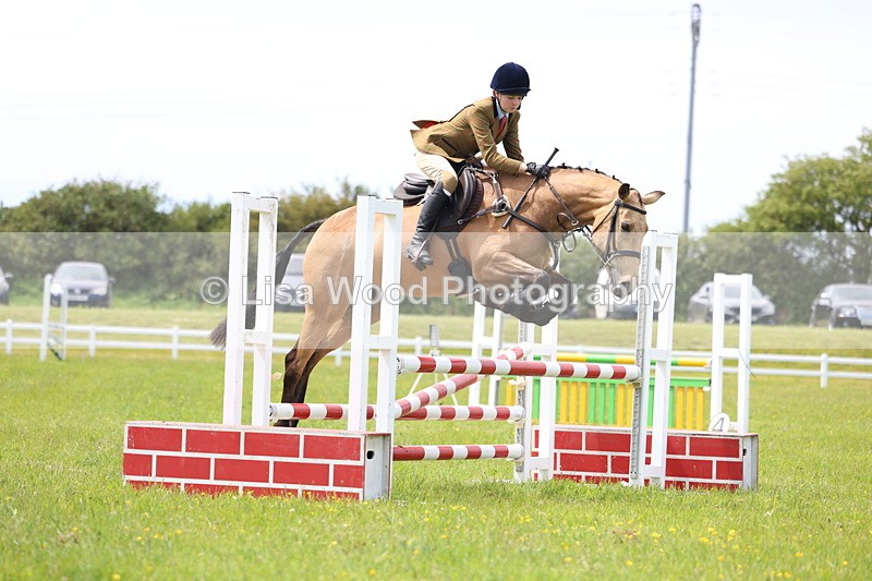 3E7A1422 - Class 13: Senior British Novice/90cm open