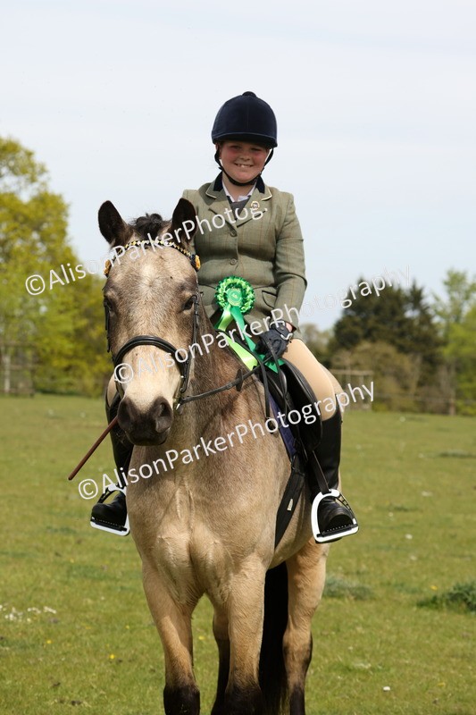 20260426-4439 - Class 34 - Best Riding Horse Over 14.2hh