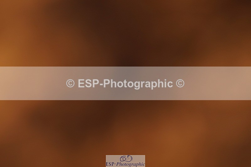 240628A-200140-01187 - Cls 4 1.10m Open