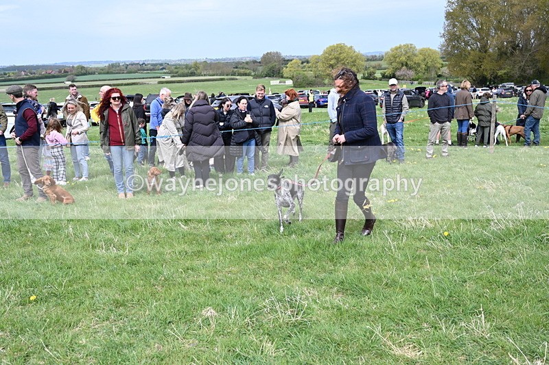 WJ6_8343 - Class 4 Prettiest Bitch