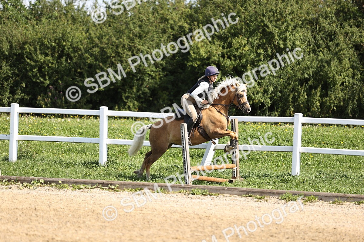 SBM_001225 - AE - 50cm