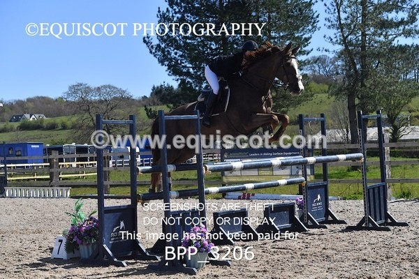 BPP_3206 - CLASS 15 Senior Foxhunter/ 1.20m Open