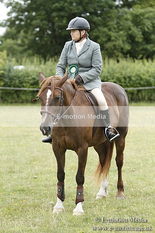 BVR160717-992 - Ring 3 BVRC Show 16/07/17