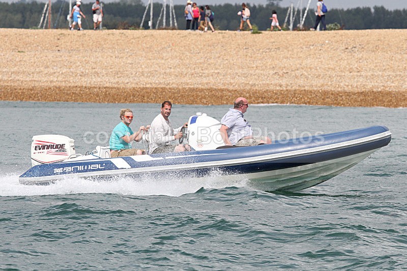 150816 ANIMAL RIB IMG_9548 - RIBs, Tenders, Dories, Dinghies