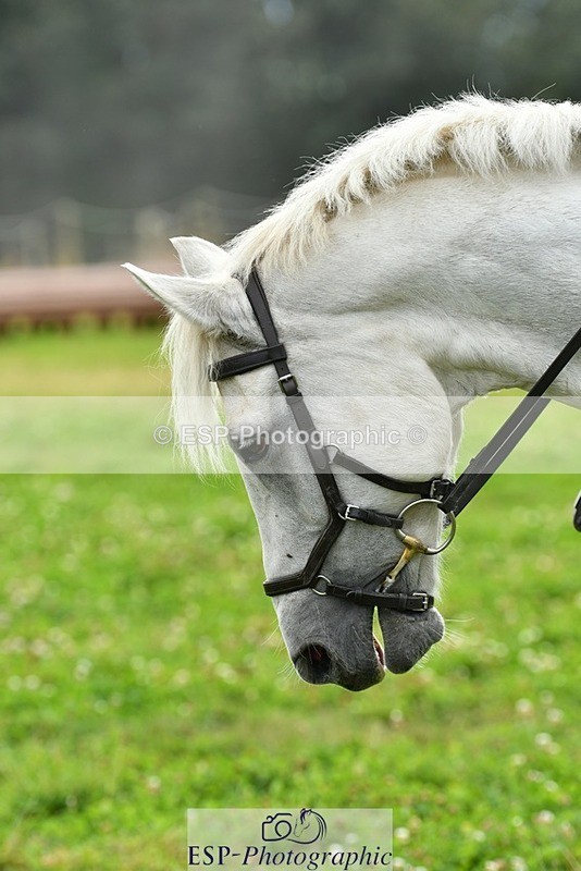 230817-154011-01571 - Theo's 2nd Group - XC