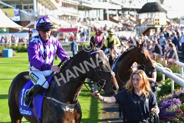 yr08102021r4-11 - Race 4 3.50pm Casumo Dare To be Different Handicap