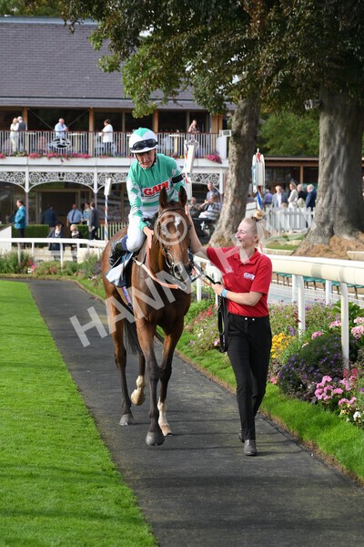 yr04092022r6-44 - Race 6 4.40pm Hanson Springs Stakes