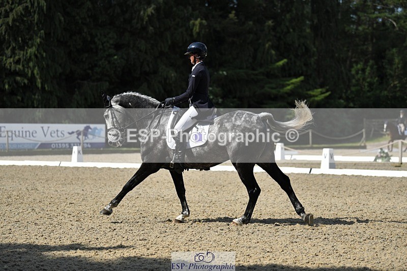 230525-102105-01693 - 311-BALLYCOSKERRY_REGAL_DIAMOND-Hollie_Swain-WEDTrotUp+DR
