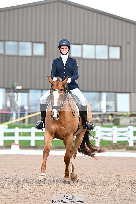 240218A-130129-07390 - 203-Ashley.Edmond-Sir.Suave.II