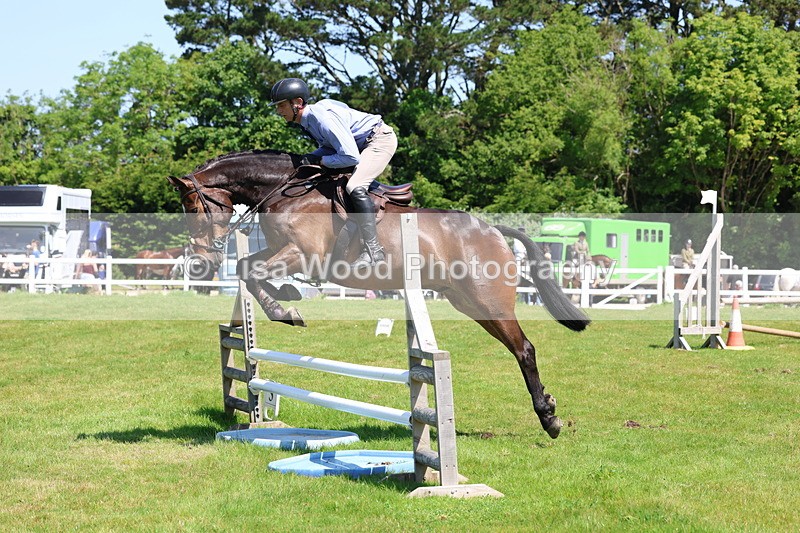 3E7A7034 - Class 30: Novice Working Hunter