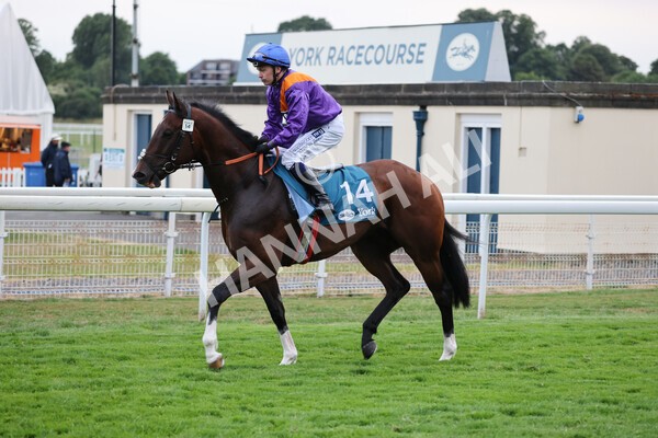 yr22072022r7-24 - Race 7 8.25pm The Sky Bet Go-Racing-In-Yorkshire Summer Festival Stakes