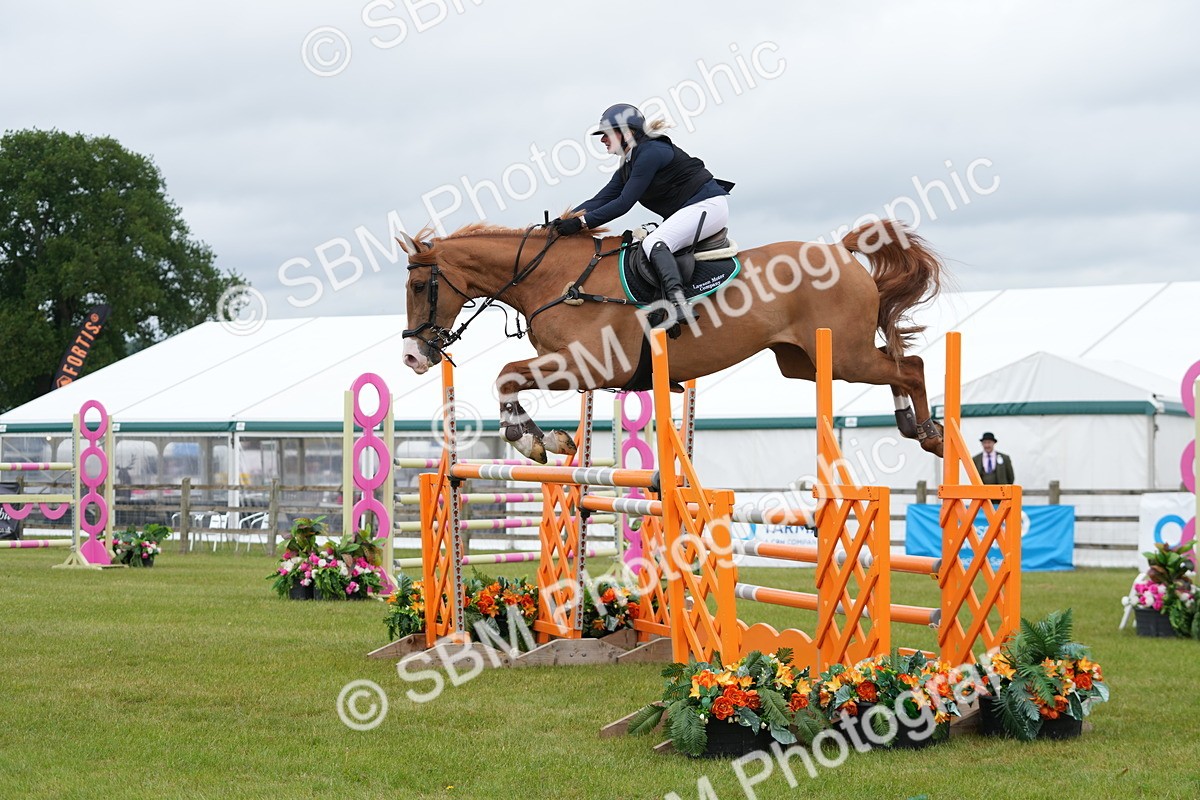 SBM_03296 - Class 201 - British Horse Feeds Speedi Beet Horse of the Year Show Grade  C