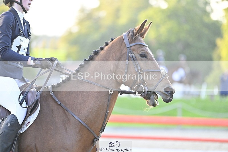 251005A-174527-05506 - Cls 11 Open 1m-1.05m