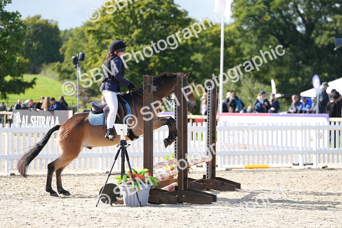 SBM_38225 - J6 - Junior Pony 55cm Championship