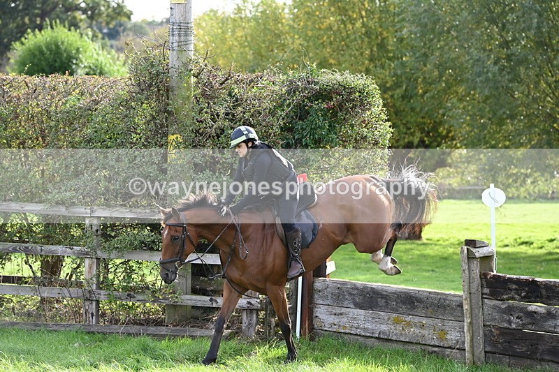 WJ6_4745 - Time 15:01 to 15:34