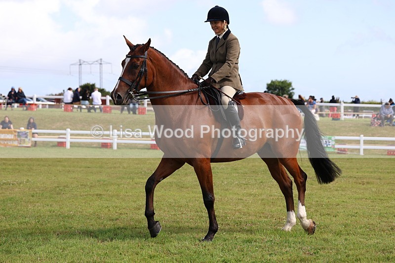 3E7A9475 - Class 4: Rising Star M/H Hunter