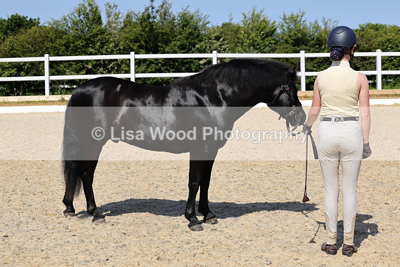1X9A1133 - Class 9: Open Part Bred